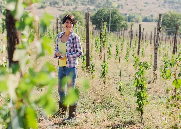 Dimora Dell'arte-cantinarte * Navelli