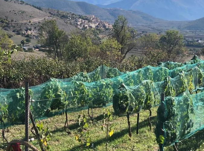 Dimora Dell'arte-cantinarte Navelli