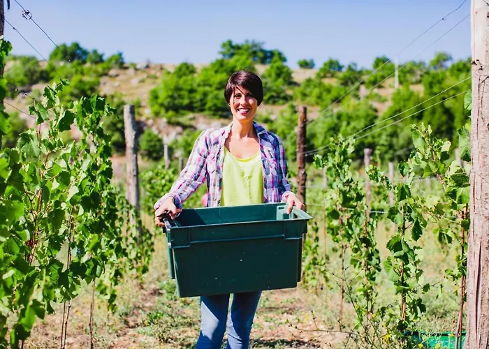 Dimora Dell'arte-cantinarte Курортный комплекс